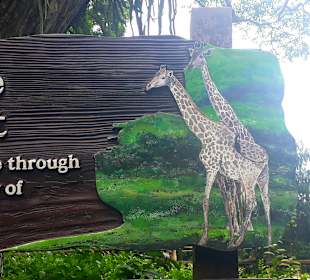 Singapur Zoo