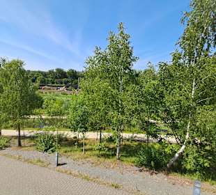 Naturschutzgebiet Grube Reden in Schiffweiler