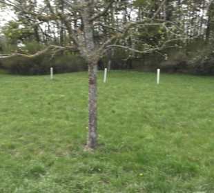 Wanderweg Firstwaldrunde