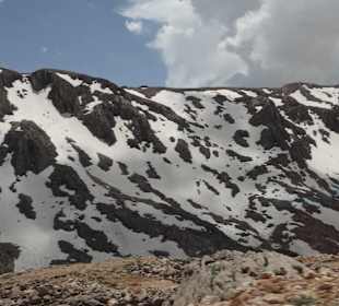 Taurus - auf 2500 Meter 