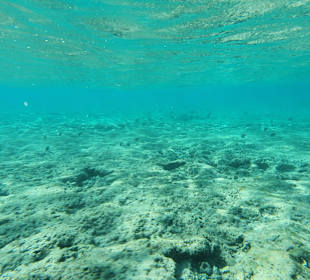 Schnorcheln Makadi Bay