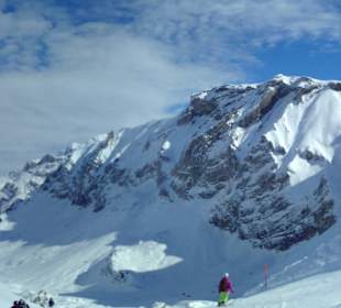 Panorama Luegli 
