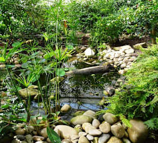 Rundgang durch den Jardin des Papillons