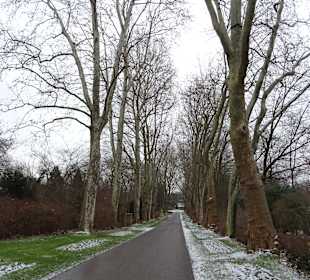 Blühendes Barock im Winter