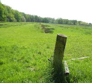 Naturschutzgebiet Boberger Niederung