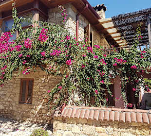 Stadtrundgang Side - Kumköy