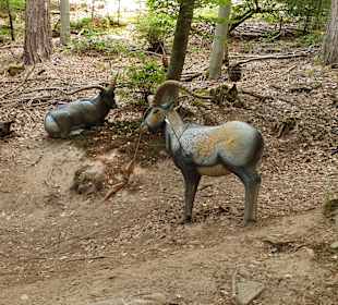 Stadtrundgang Kreuzwertheim