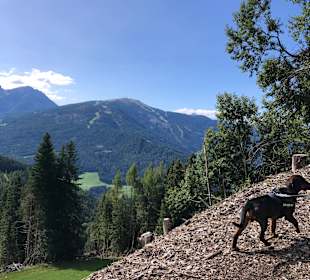 Wandern Valdaora / Olang