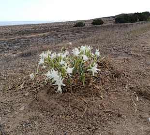 Unterwegs die Aussicht