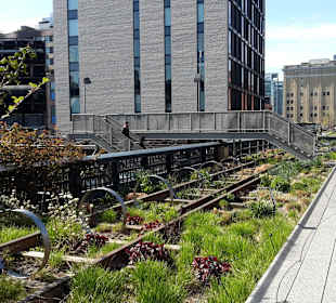 Die High Line