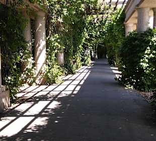 Stare Miasto Wrocław