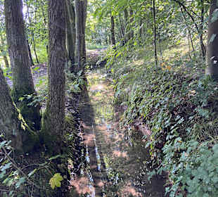 Wandern Bad Orb