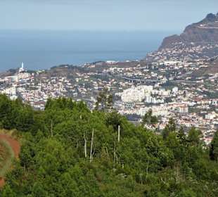 Blick von Blandy´s Garden nach Funchal