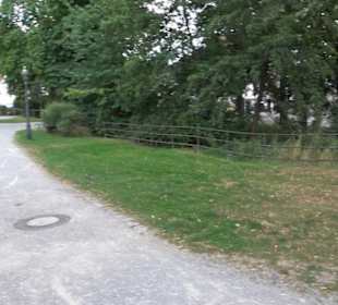 Gänswiese