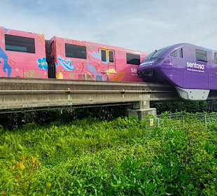 Sentosa Express