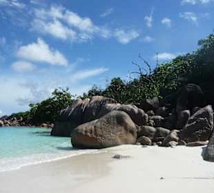 Das Schnorchelbereich in Anse lazio