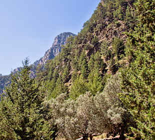 Samaria Schlucht