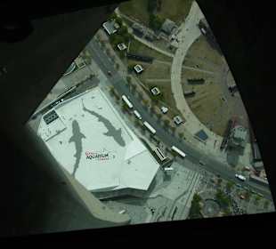 Blick durch den gläsernen Boden