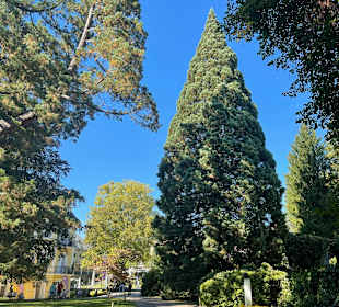 Kurpark Bad Gleichenberg 