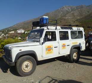 Born to be Wilde Safari