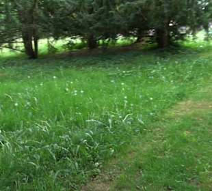 Park Courbevoie
