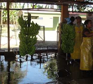 In der Bananenfabrik