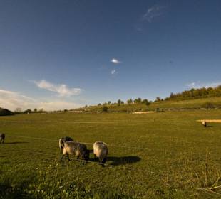 Thüringer Zoopark Erfurt 