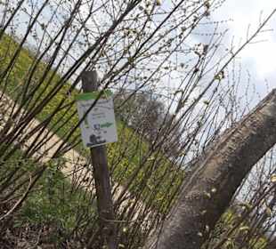 Heckenerlebnispfad Apfelstetten
