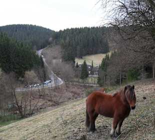 Blick auf den Wanderparkplatz Perlbacher Mühle