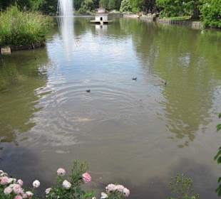 Rosengarten Zweibrücken