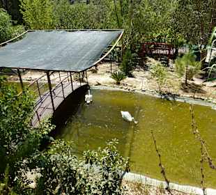 Tierpark Manavgat