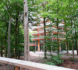 Baumwipfelpfad Usedom