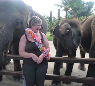 Im Elefantenpark