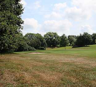 Waldumsäumte Fairways
