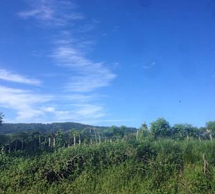 Ausflug Samana