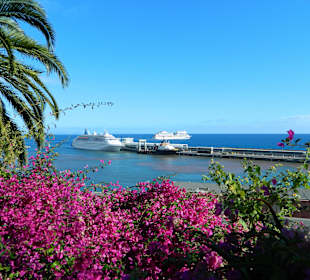 Hafen von Funchal