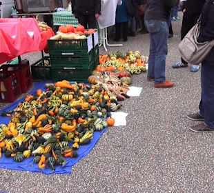 Naturparkzentrum Ruhestein