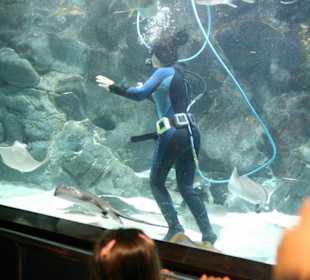 Ausflug nach Loro Parque