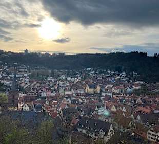 Ausblick Burg Wertheim