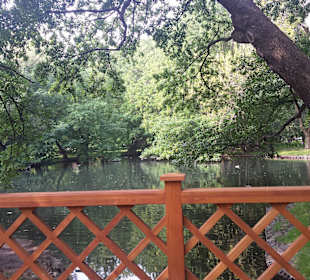 Palmiarnia Park Oliwski