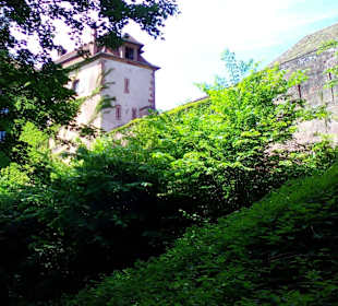 Wanderweg der Stadtmauer La Petite Pierre
