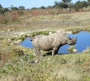 Etosha