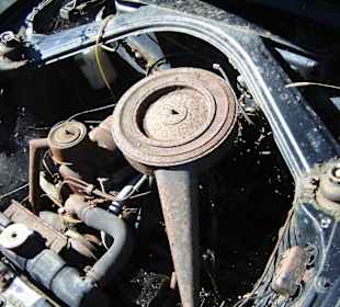 Autofriedhof am Foxen