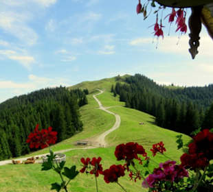 Wanderweg zum Hinteren Hörnle (1548 m)