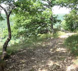 Tour entlang der Traifelbergfelsen