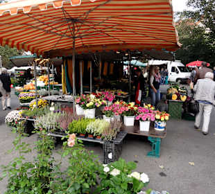 Spaziergang über den Göttinger Wochenmarkt