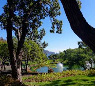 Skraj starego miasta