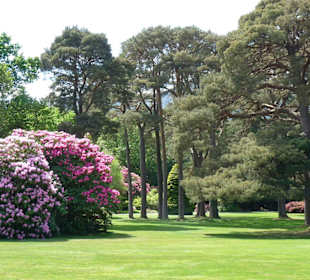 Muckross Garden