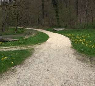 Eiszeitpfad - Burgfelsenpfad