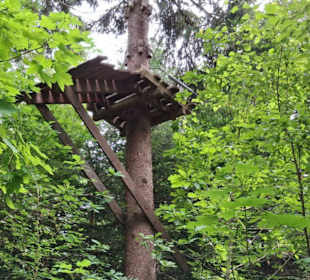 Waldklettergarten Atreenalin Dornstetten-Hallwange